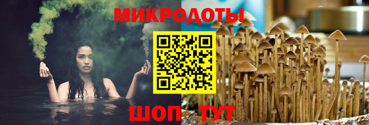 где купить наркоту  Псилоцибиновые грибы Psilocybine cubensis  Вход с VPN  Краснодар 